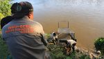 Usai Serang Warga, Buaya Liar Diburu di Aceh Barat