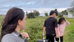 Perjuangan Alice Norin Mudik ke Norwegia Bikin Suami Seret Koper di Padang Rumput