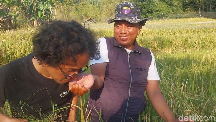 Cikal bakal eksplorasi minyak bumi di Indonesia bermula di Blok Sukamurni, Desa Maja Selatan, Kecamatan Maja, Majalengka.