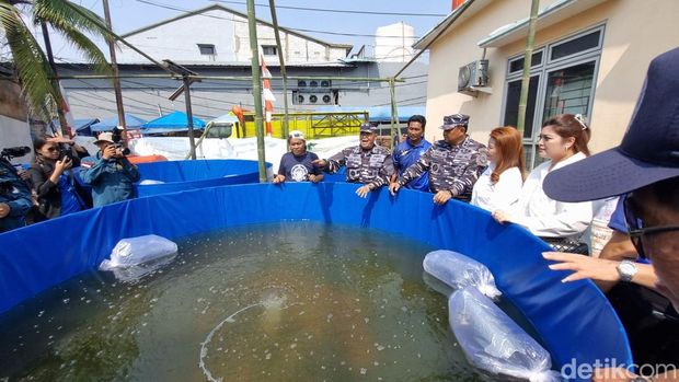CT Arsa Foundation bersama Koarmada RI menggelar bakti sosial (baksos) di Kampung Nelayan, Muara Angke, Jakarta Utara (Jakut). (Taufiq S/detikcom)