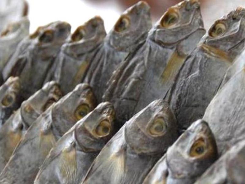 Gami Bawis. Foto: Jadesta Kemenparekraf Ikan kering bawis. Foto: Jadesta Kemenparekraf