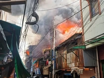 Video Cerita Warga Selamatkan Monyet Saat Kebakaran Tambora
