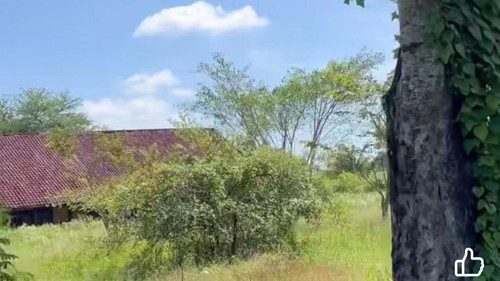 Kondisi SMPN 2 Praya Barat, Lombok Tengah, yang tidak terawat viral di medsos. (Istimewa)