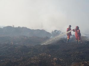 100 Hektare Lahan Terbakar di Desa Gambut Jaya Jambi, Api Belum Padam