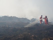 100 Hektare Lahan Terbakar di Desa Gambut Jaya Jambi, Api Belum Padam