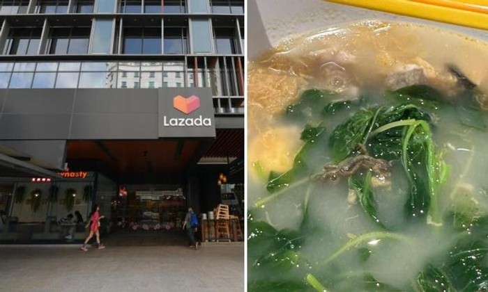 Pelanggan Protes Ada Kadal di Sup, Pihak Resto Bilang Itu Ikan Bilis