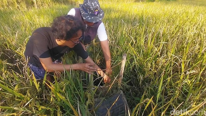 Pengeboran sumur minyak pertama yang ada di Blok Sukamurni, Desa Maja Selatan, Kecamatan Maja, Majalengka. Pengeboran sumur minyak pertama yang ada di Blok Sukamurni, Desa Maja Selatan, Kecamatan Maja, Majalengka.