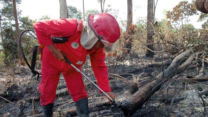 Petugas saat melakukan pendinginan di lokasi Tahura yang terbakar.