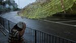 Pohon-pohon Tumbang Diterjang Topan Wipha di China