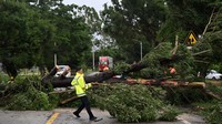 Petugas evakuasi pohon tumbang di jalan Taishan, Guangdong, China, setelah Topan Wipha menerjang wilayah itu, Minggu (20/7/2025). REUTERS/CnsPhoto