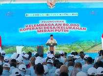 Beras Oplosan-Minyak Menyusut, Prabowo Murka: Kejar yang Bandel Itu!