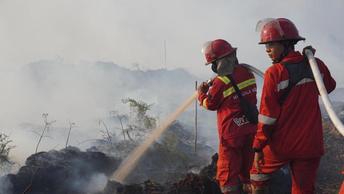 Tim Manggala Agni memadamkan karhutla di Muaro Jambi.