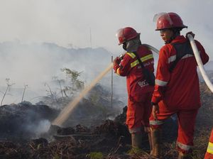Cuaca dan Angin Jadi Kendala Padamkan Lahan Gambut di Muaro Jambi