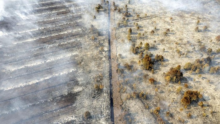 70 Hektare Lahan Gambut di Muaro Jambi Terbakar Foto udara kebakaran hutan dan lahan di Desa Gambut Jaya, Muaro Jambi, Jambi, Senin (21/7/2025). Kebakaran yang terjadi sejak Minggu (20/7/2025) pagi di lahan gambut yang berjarak dua kilometer dari permukiman tersebut telah menghanguskan sekitar 70 hektare lahan. ANTARA FOTO/Wahdi Septiawan/YU