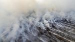 70 Hektare Lahan Gambut di Muaro Jambi Terbakar
