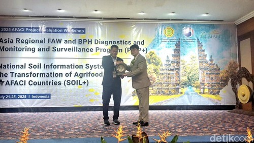 Acara AFACI Project Evaluation Workshop on PMP+ and SOIL+ yang digelar oleh Kementerian di Bali, Selasa (22/7/2025). (Fabiola Dianira)