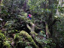 Menyingkap Tabir Mistis dari Bukit Raya dan Gunung Padai