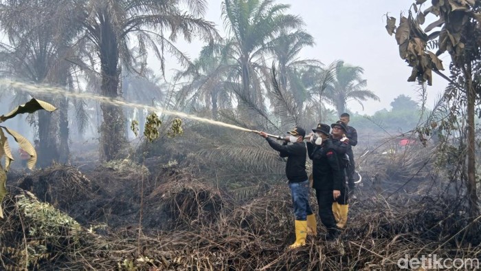 Foto: Proses pemadaman lahan di Rokan Hilir (Dok Datuk Penghulu)