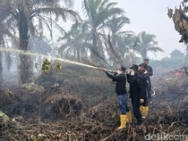 8 Fakta Terkini Karhutla di Riau