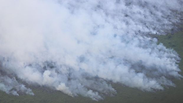 Kepala BNPB Letjen TNI Suharyanto meninjau kebakaran hutan dan lahan di Riau