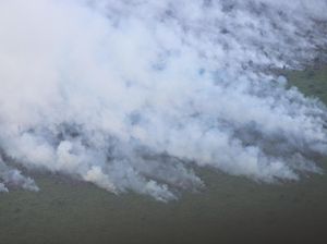 BNPB Minta Pemprov Riau Tetapkan Status Tanggap Darurat Bencana Karhutla