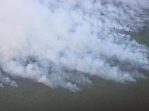 BNPB Minta Pemprov Riau Tetapkan Status Tanggap Darurat Bencana Karhutla