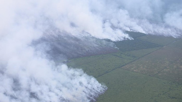 Kepala BNPB Letjen TNI Suharyanto meninjau kebakaran hutan dan lahan di Riau