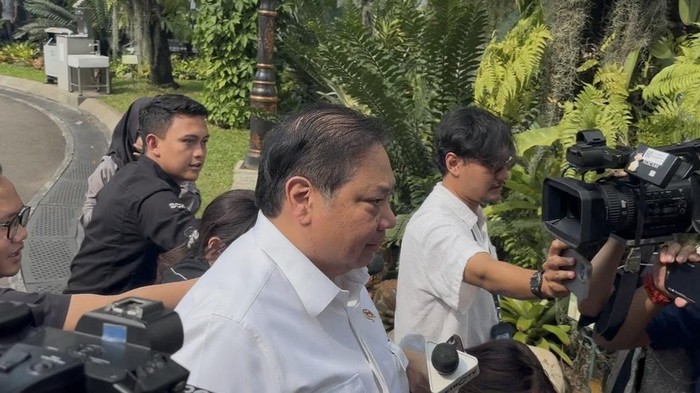Menko Perekonomian Airlangga (Firda/detikcom)