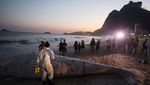 Pantai di Rio Brasil Ditutup Gegara Ada Paus Bungkuk Terdampar