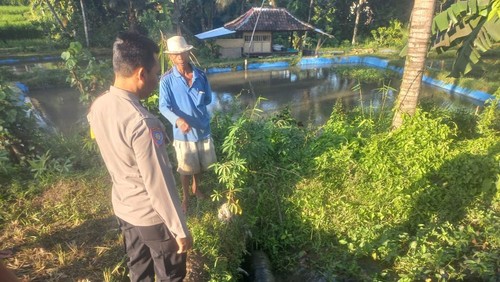 Penemuan mayat laki-laki di Desa Arajangka, Kecamatan Peringgarata, Lombok Tengah. (DOk. Polres Lombok Tengah)
