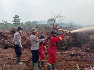 Meluas! Karhutla di Desa Gambut Jaya Muaro Jambi Kini Sudah 264 Hektare