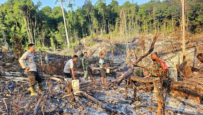 Petugas mengecek lokasi terjadinya karhutla terjadi di Muba