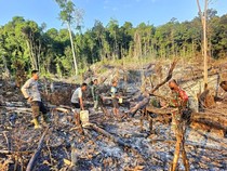 5 Kecamatan di Muba Terjadi Karhutla, Luas Lahan Terbakar 6 Hektare Lebih