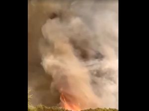 Video: 10 Petugas Damkar Tewas Saat Padamkan Kebakaran Hutan di Turki