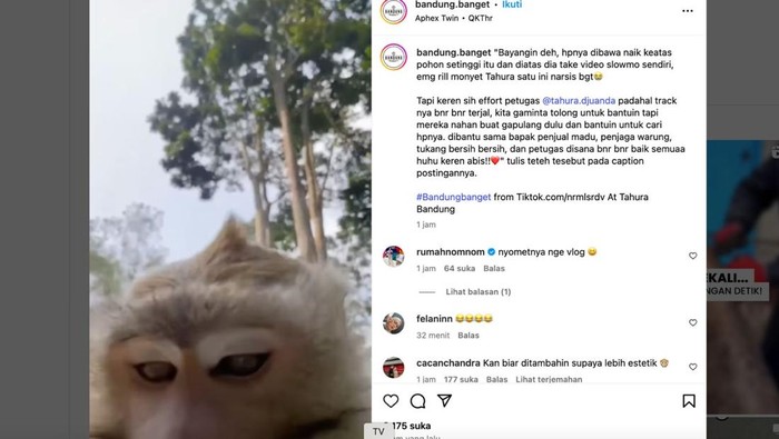 Tangkapan layar saat monyet ambil hape dan ngevlog di Tahura Djuanda