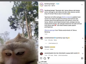 Viral Monyet di Tahura Bandung Ambil Ponsel Pengunjung buat Nge-vlog