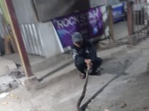 Viral Warga Tangkap Ular Piton 5 Meter di Gunungpati Semarang, Ini Faktanya