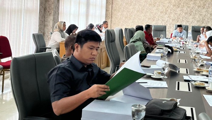 Anggota DPRD Binjai Ronggur Simorangkir. (Istimewa)