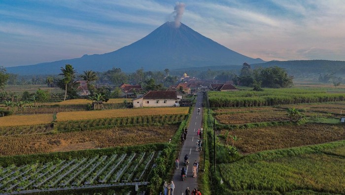 Wisatawan melintasi kubangan air menggunakan mobil jip saat mengunjungi Desa Wisata Sumberurip, Kecamatan Pronojiwo, Lumajang, Jawa Timur, Rabu (23/7/2025). Desa di kaki Gunung Semeru yang memiliki sejumlah potensi wisata dengan perpaduan pemandangan alam dan gunung tersebut dimanfaatkan oleh warga setempat untuk memberikan paket perjalanan wisata seperti  jelajah desa dan susur aliran sungai menggunakan jip, lokasi berkemah, agrowisata juga sajian hidangan kuliner khas setempat. ANTARA FOTO/Irfan Sumanjaya