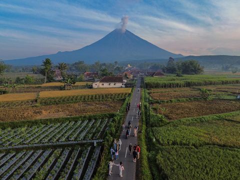 Wisatawan melintasi kubangan air menggunakan mobil jip saat mengunjungi Desa Wisata Sumberurip, Kecamatan Pronojiwo, Lumajang, Jawa Timur, Rabu (23/7/2025). Desa di kaki Gunung Semeru yang memiliki sejumlah potensi wisata dengan perpaduan pemandangan alam dan gunung tersebut dimanfaatkan oleh warga setempat untuk memberikan paket perjalanan wisata seperti  jelajah desa dan susur aliran sungai menggunakan jip, lokasi berkemah, agrowisata juga sajian hidangan kuliner khas setempat. ANTARA FOTO/Irfan Sumanjaya