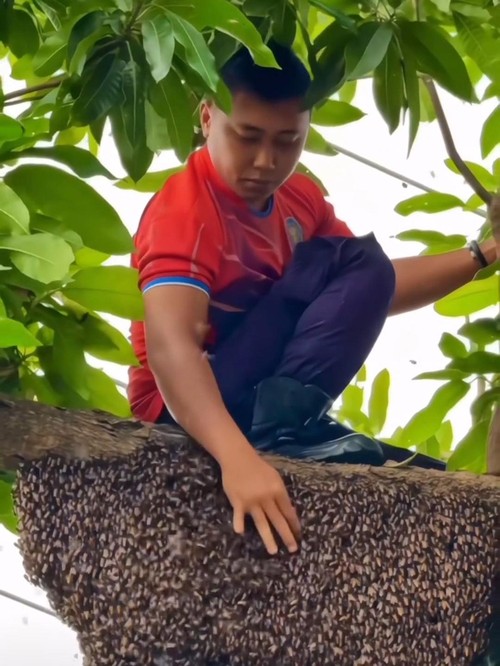 Tim rescue Damkar Kota Mataram saat berusaha mengevakuasi sarang tawon besar di salah satu rumah warga di Mataram, Selasa (22/7/2025).