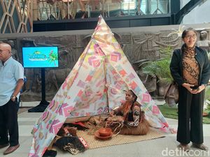 Teluk Wondama, Destinasi Wisata di Papua Barat, Pas buat Healing