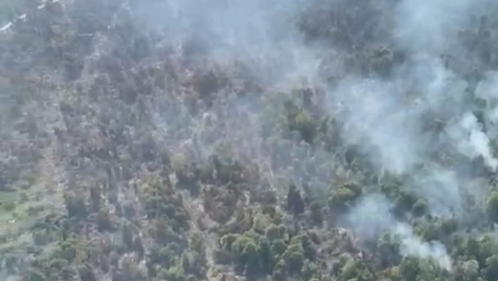 Foto udara kondisi karhutla di sebagian wilayah Rokan Hilir (Rohil), Riau, Rabu (23/7/2025). Foto: dok. Polda Riau