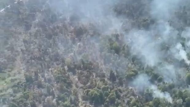 Foto udara kondisi karhutla di sebagian wilayah Rokan Hilir (Rohil), Riau, Rabu (23/7/2025). Foto: dok. Polda Riau
