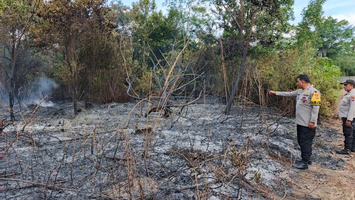 Kebakaran lahan di Pekanbaru, Riau, berhasil dipadamkan aparat gabungan, Senin (21/7/2025).