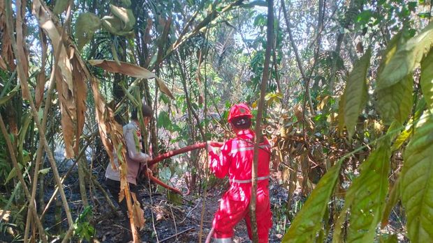 Kebakaran lahan di Pekanbaru, Riau, berhasil dipadamkan aparat gabungan, Senin (21/7/2025).