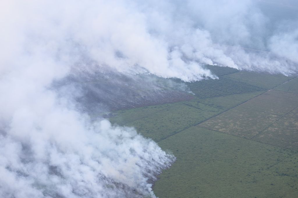 Kondisi kebakaran hutan dan lahan yang terjadi di wilayah Kabupaten Rokan Hilir, Provinsi Riau pada Senin (21/7/2025). (Dok. BNPB)