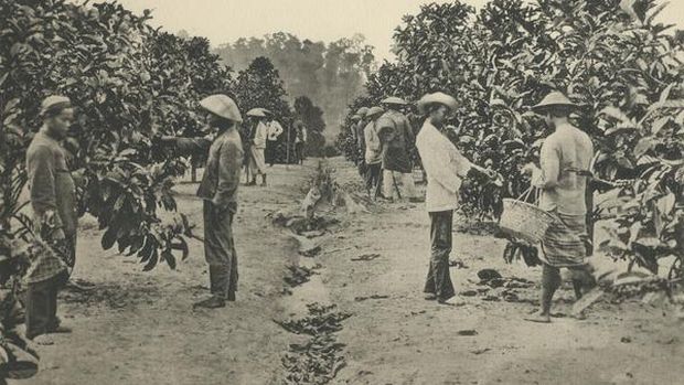Kopi masa Hindia Belanda