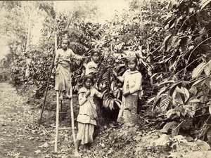 Perjalanan Kopi Kuningan ke Eropa, Berawal dari Tanam Paksa
