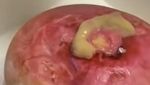 Jijik Banget! 9 Kue Viral Ini Dibentuk Mirip Toilet hingga Muntahan
